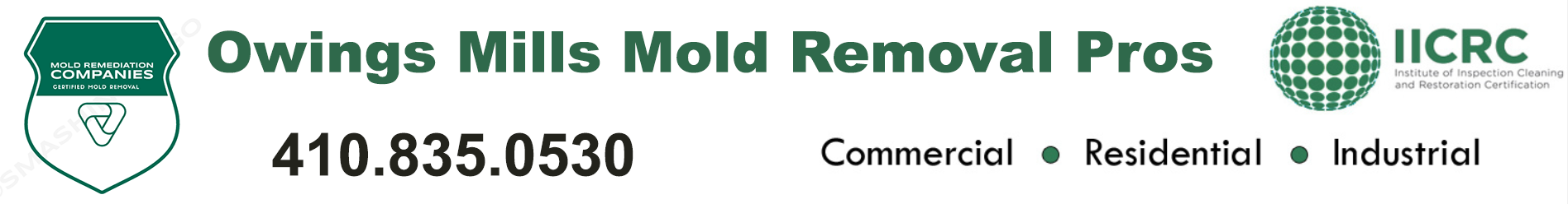 Owings Mills Mold Removal Pros